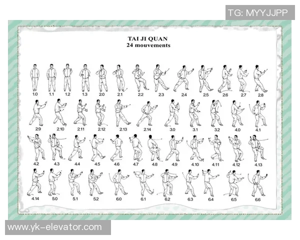 全面解析太极教程视频助你轻松掌握太极拳的精髓与技巧