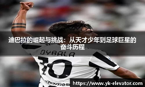 XC体育手机网页版登录