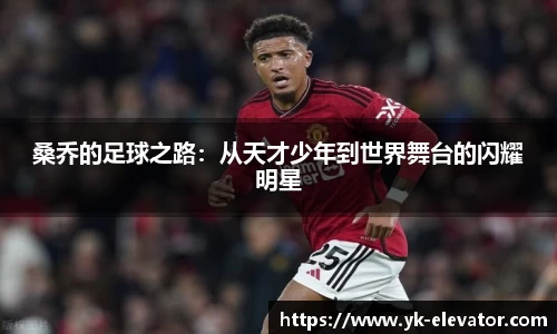 XC体育手机网页版登录