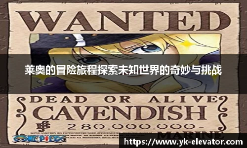 XC体育最新地址