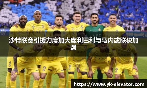 XC体育官网版