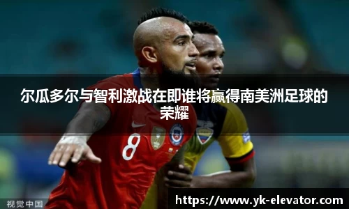 XC体育手机网页版登录
